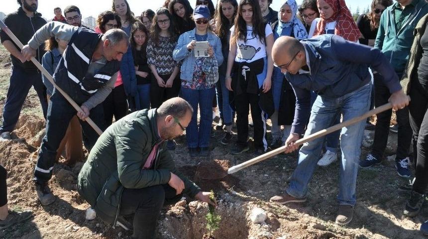Odunpazarı Yeşillenmeye Devam Ediyor