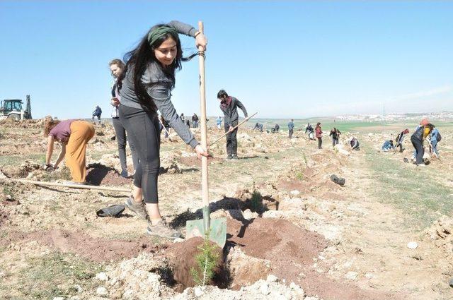 Odunpazarı Yeşillenmeye Devam Ediyor