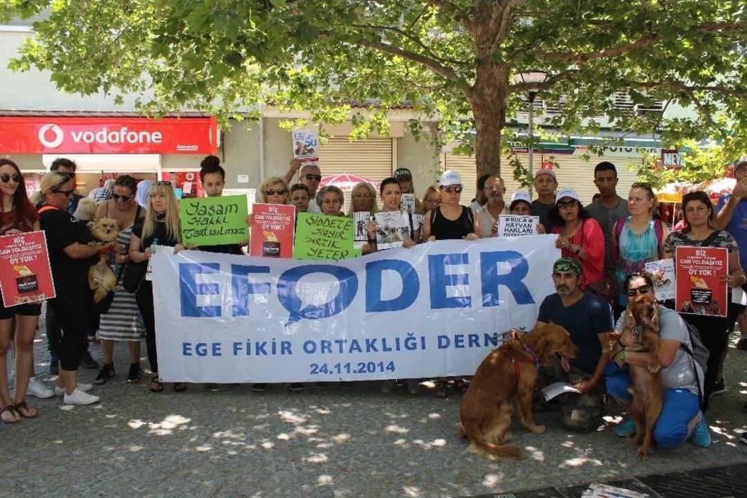 Hayvanlar İ&ccedil;in &lsquo;oy Yok&rsquo; Kampanyası