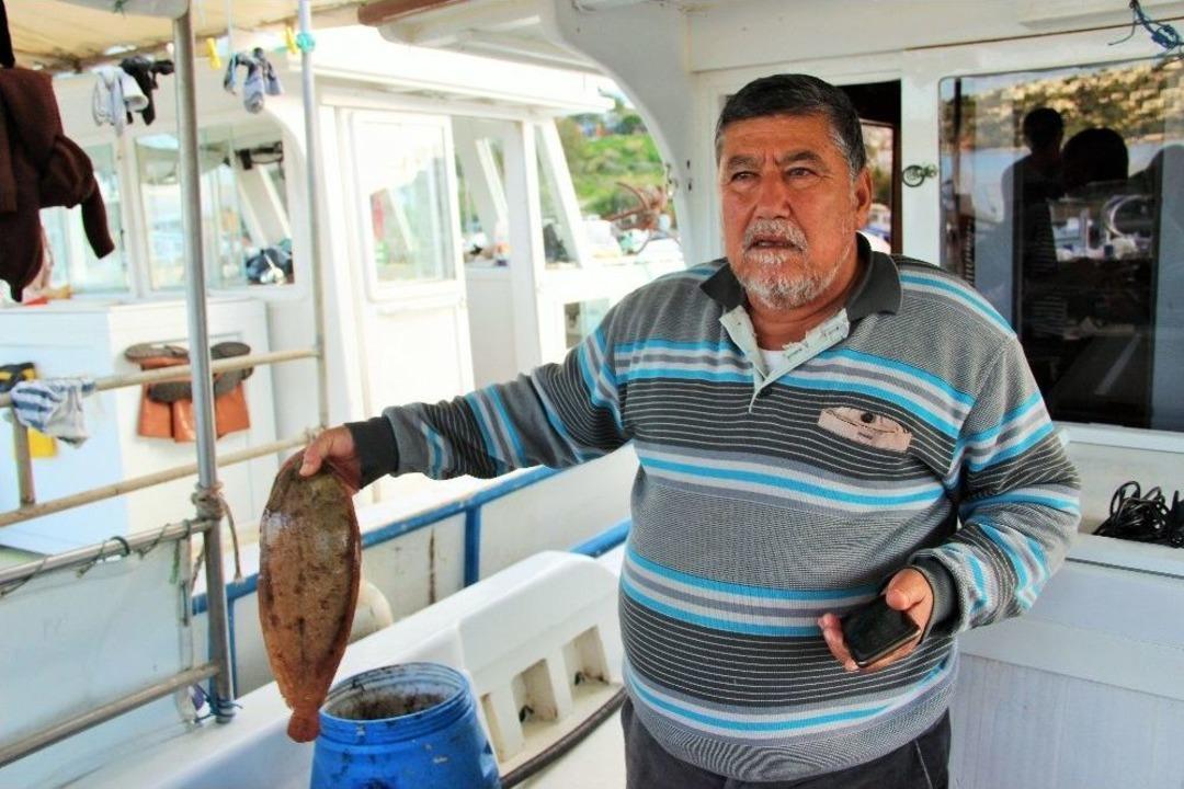 Yunan Askerleri T&uuml;rk Balık&ccedil;ı Teknelerini Taciz Etti