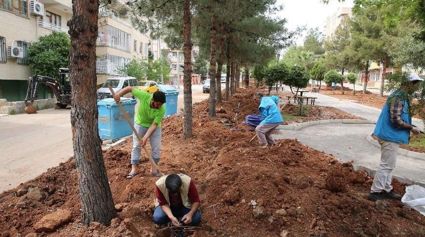 Haliliye&rsquo;de Parklarda Bakım &Ccedil;alışmaları S&uuml;r&uuml;yor