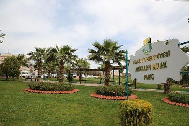 Haliliye&rsquo;de Parklarda Bakım &Ccedil;alışmaları S&uuml;r&uuml;yor 1