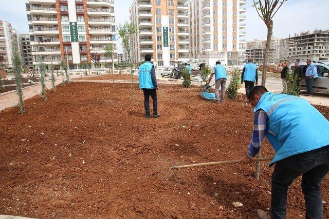 Haliliye&rsquo;de Parklarda Bakım &Ccedil;alışmaları S&uuml;r&uuml;yor 2