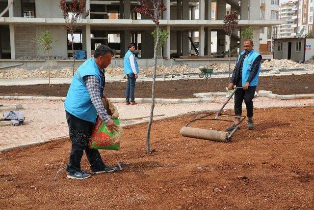 Haliliye&rsquo;de Parklarda Bakım &Ccedil;alışmaları S&uuml;r&uuml;yor 3