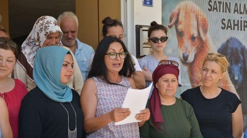 "hayvanların Yaşam Hakkını Tanımayan Siyasilere Oy Yok" Kampanyası