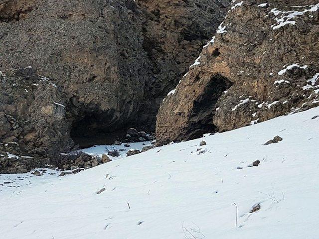 Van’da Terör Operasyonu