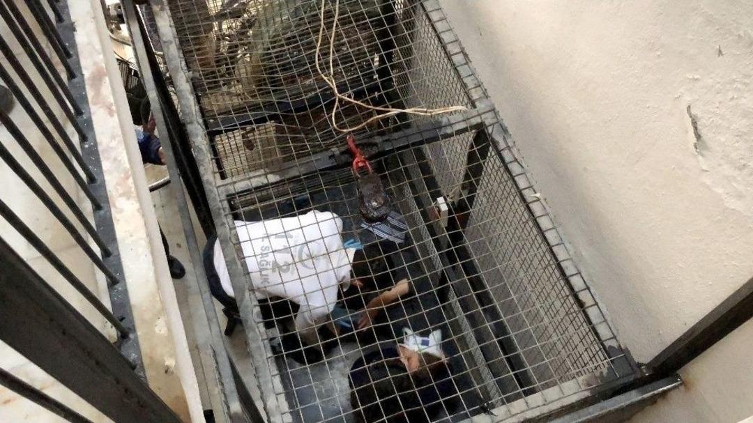 Asans&ouml;rde Can Pazarı