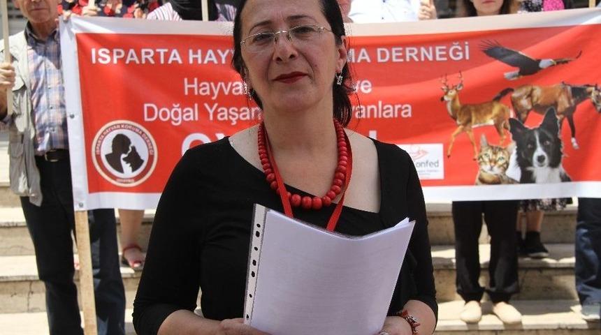 Isparta&rsquo;da &lsquo;hayvanın Hakkını Korumayan Vekile Oy Yok&rsquo; A&ccedil;ıklaması