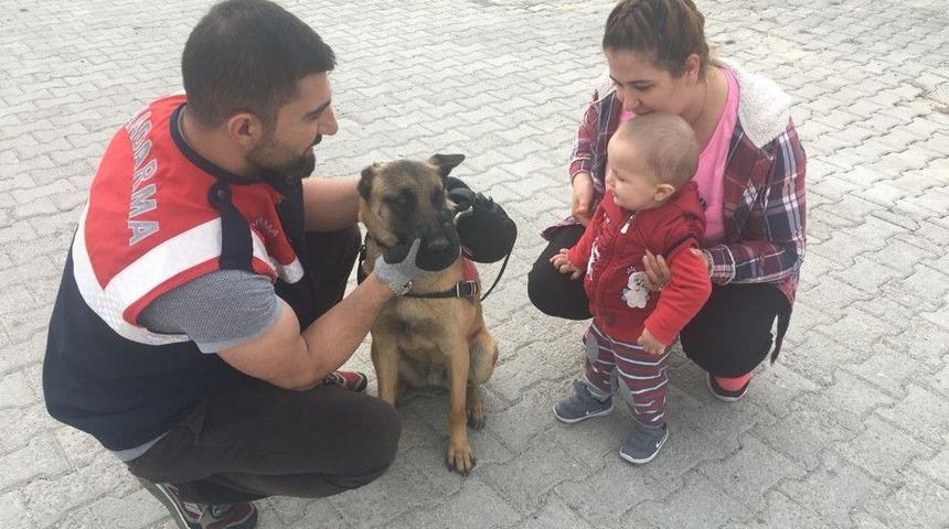 Sungurlu&rsquo;da Asayiş Uygulaması