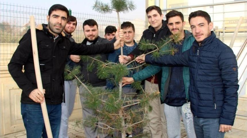 &Ccedil;&ouml;pe Gidecek Lastiklerle Yurtlarını G&uuml;zelleştirdiler