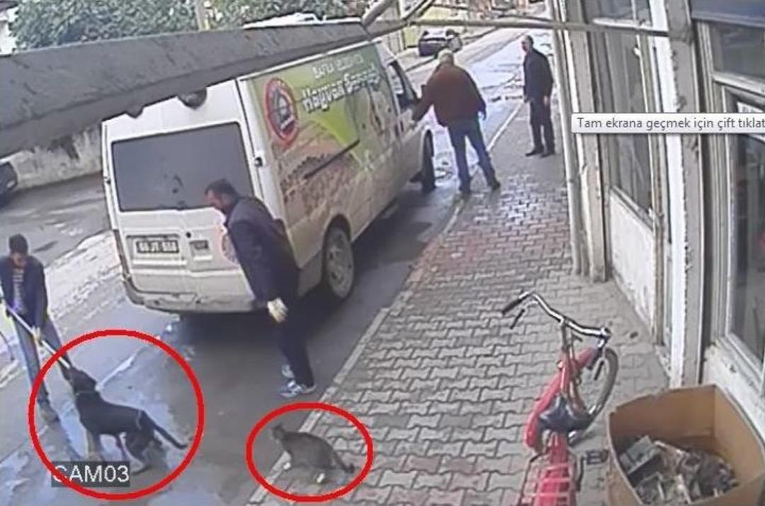 Pamuk&rsquo;un &Ccedil;abası Karabaş&rsquo;ın G&ouml;t&uuml;r&uuml;lmesini Engelleyemedi