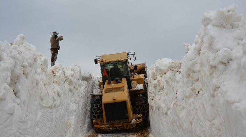 Doğu Değil Karadeniz