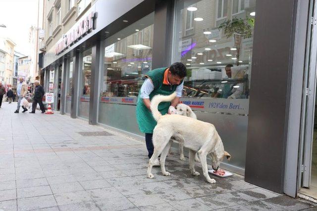 Patisiyle Tıklıyor, Yemeğini Kapıyor