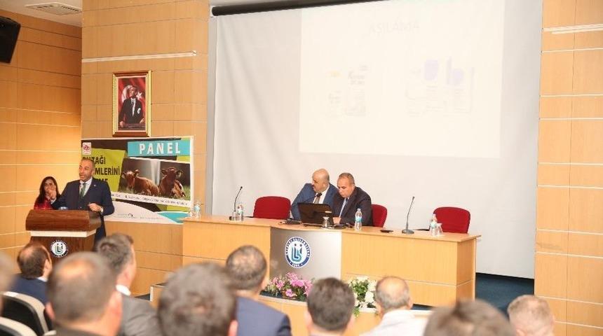 Bayburt &Uuml;niversitesi&rsquo;nden &lsquo;buzağı &Ouml;l&uuml;mlerini &Ouml;nleme&rsquo; Paneli