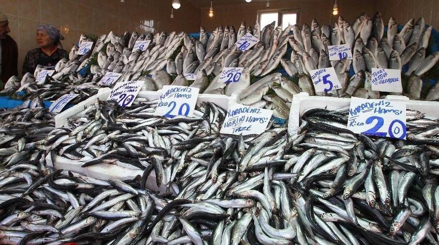 Balık Fiyatları Düşmüyor