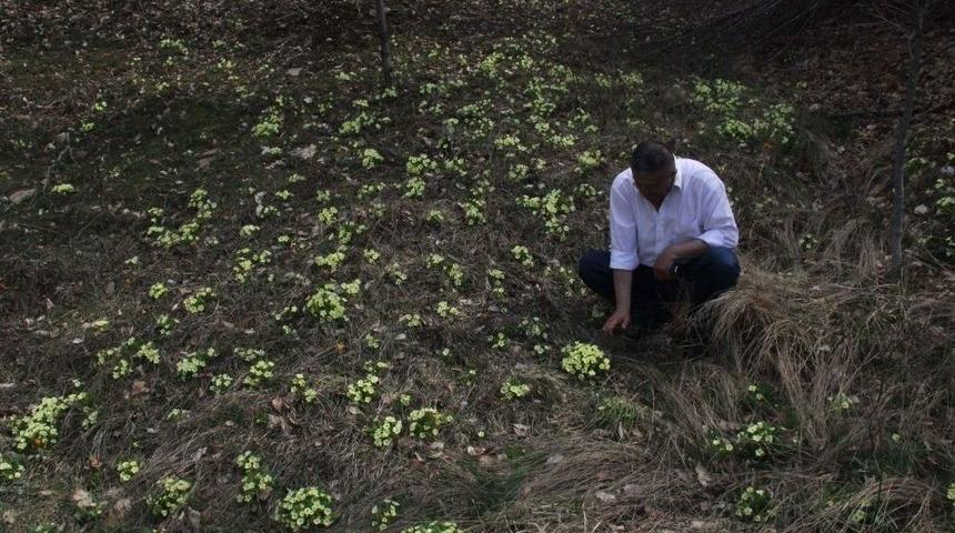 Akdağ’da Bahar Erken Başladı