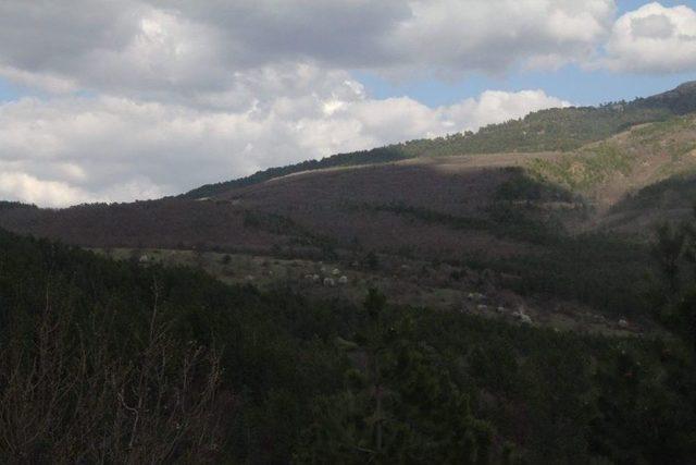 Akdağ’da Bahar Erken Başladı