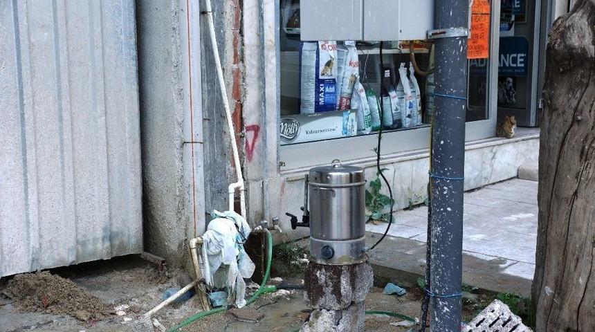 Bu &Ccedil;ayda &Ouml;l&uuml;m Tehlikesi Var