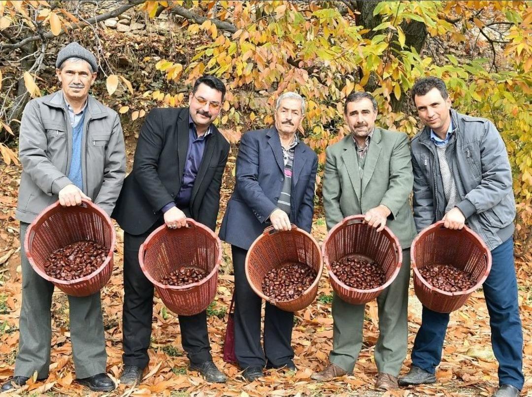 B&uuml;y&uuml;kşehir&rsquo;den Kestane &Uuml;reticisine Hayati Destek