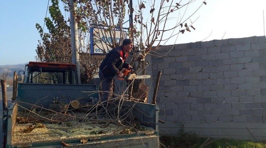 Alaşehir&rsquo;in Park Ve Sokaklarında Kış Hazırlığı