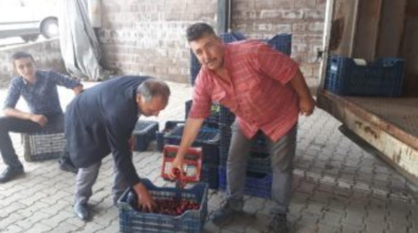 Şaphane&rsquo;de Kiraz Alımı Başladı