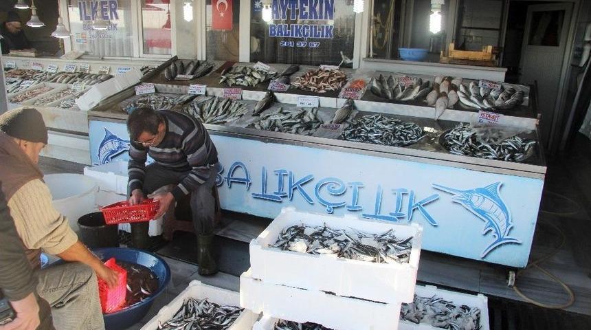 Balık&ccedil;ıların Y&uuml;z&uuml; G&uuml;lm&uuml;yor