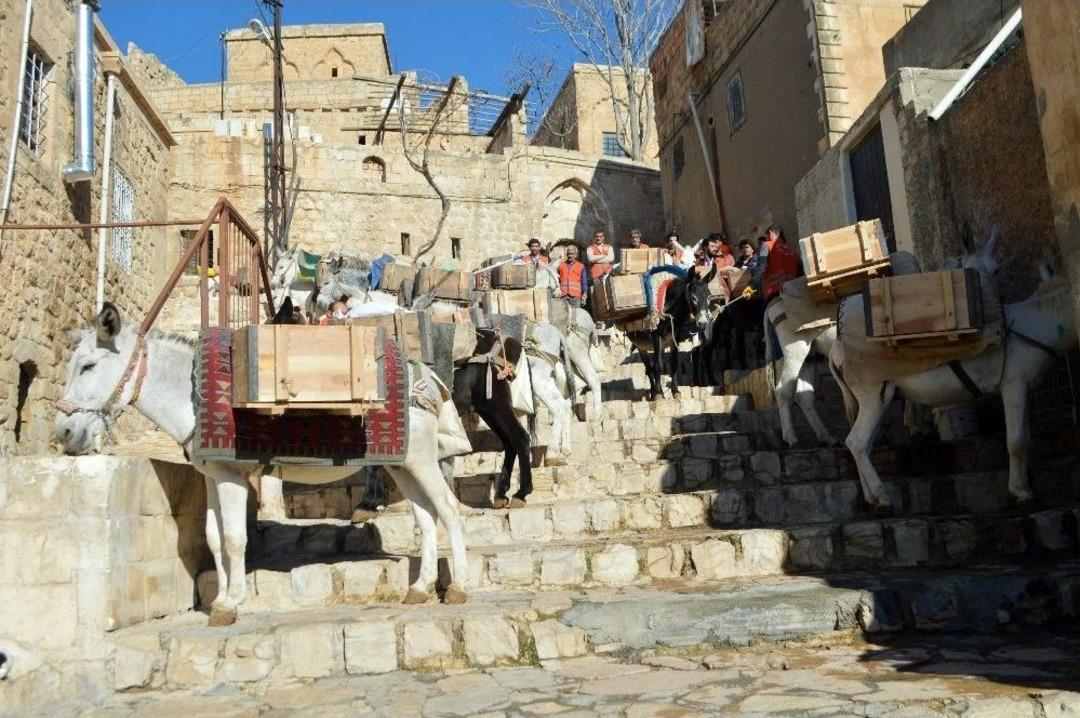 Kadrolu 3 Eşek T&ouml;renle Emekli Edildi