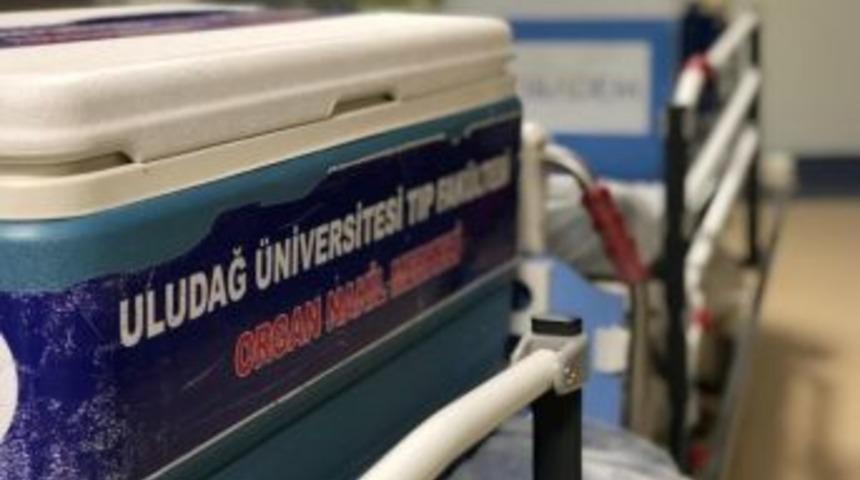 B&ouml;brekleri Ve Karaciğeri Hastalara Umut Oldu