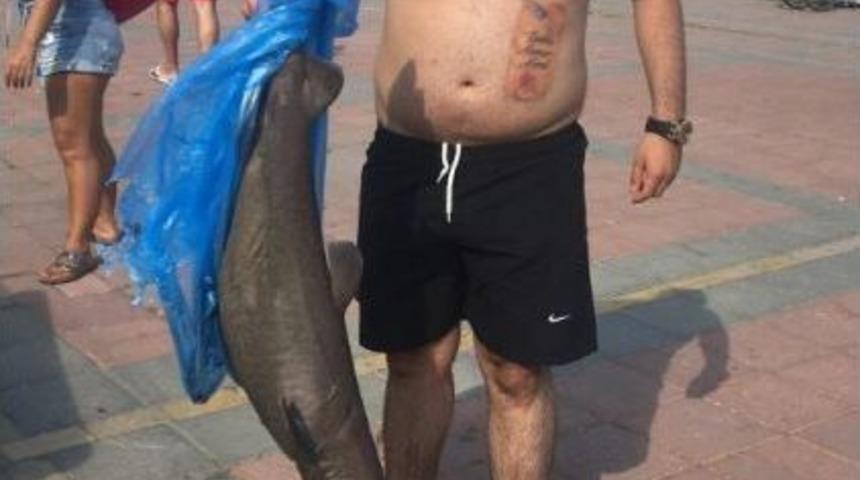 Sahilde K&ouml;pek Balığı Paniği