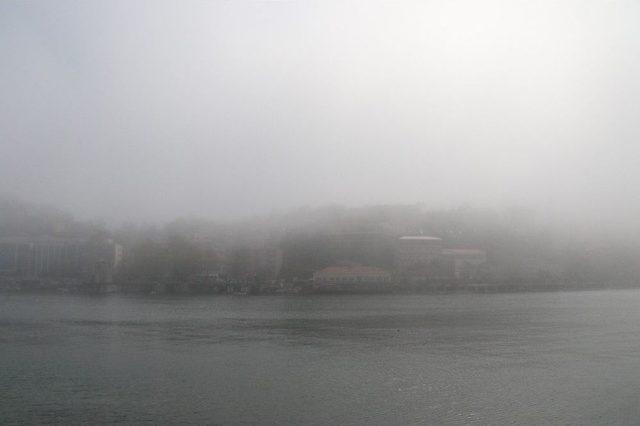 Zonguldak Sis Etkili Oldu, Görüş Mesafesi 20 Metreye Kadar Düştü 1