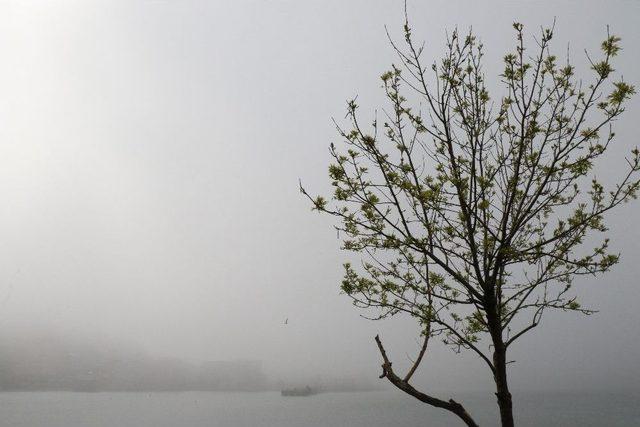 Zonguldak Sis Etkili Oldu, Görüş Mesafesi 20 Metreye Kadar Düştü 2