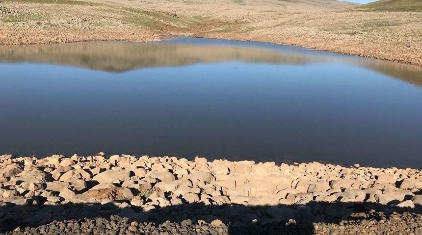 G&ouml;letlerde Bakım Ve Onarım &Ccedil;alışmaları Başladı