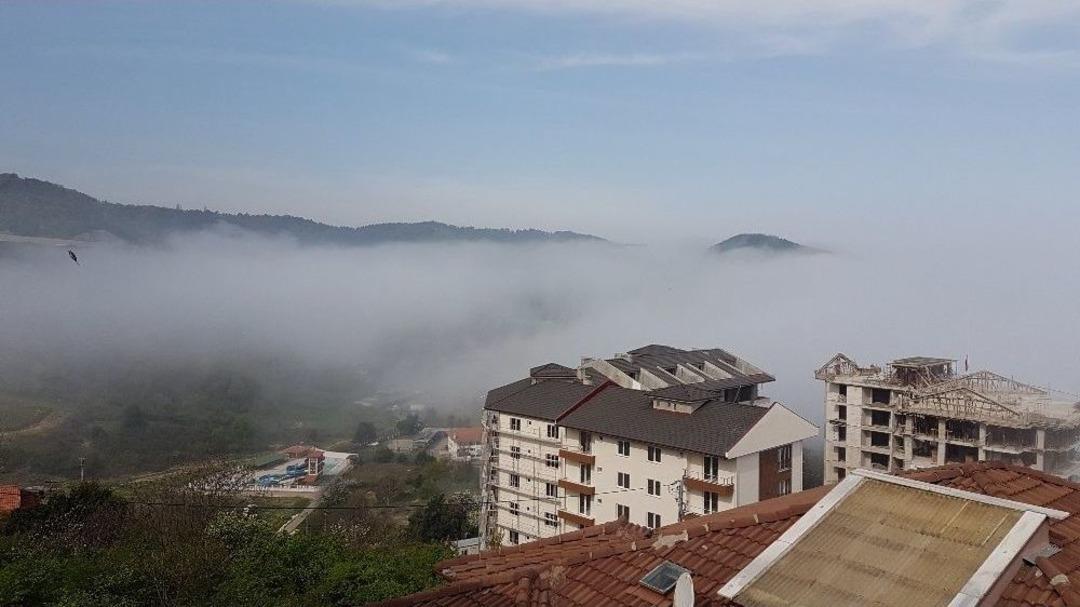 Amasra&rsquo;da Yoğun Sis Hayatı Olumsuz Etkiliyor