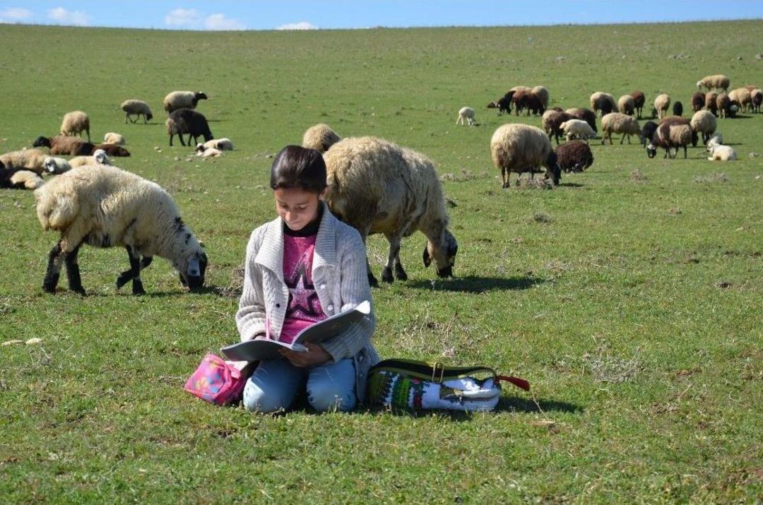 B&ouml;lge Birincisi Rabia&rsquo;nın Hayali T&uuml;rkiye Finallerine Kaldı