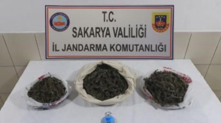 Akyazı&rsquo;da 2 Kilogram 450 Gram Kubar Esrar Yakalandı