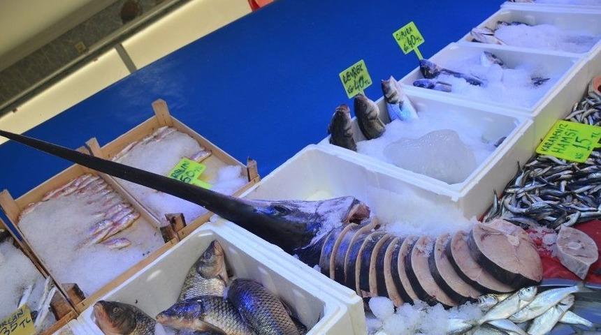 35 Kiloluk Kılı&ccedil; Balığı 2 Saatte T&uuml;kendi