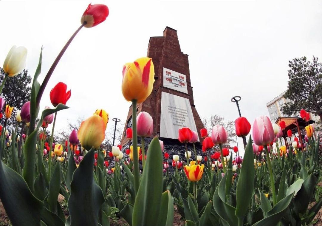 Van&rsquo;da Lale Zamanı