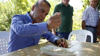 Çandır Fasulyesi Şenliği Konyaaltı’nda