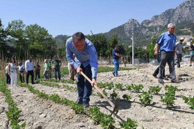 Çandır Fasulyesi Şenliği Konyaaltı’nda