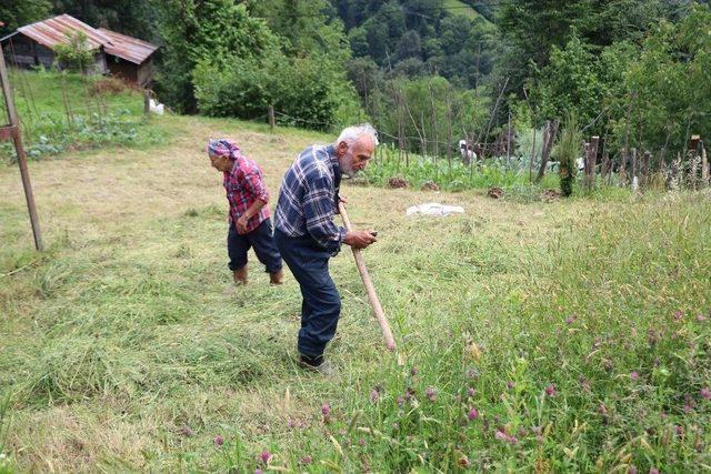 Bu Köyün Yaşlıları Gençlere Taş Çıkartıyor