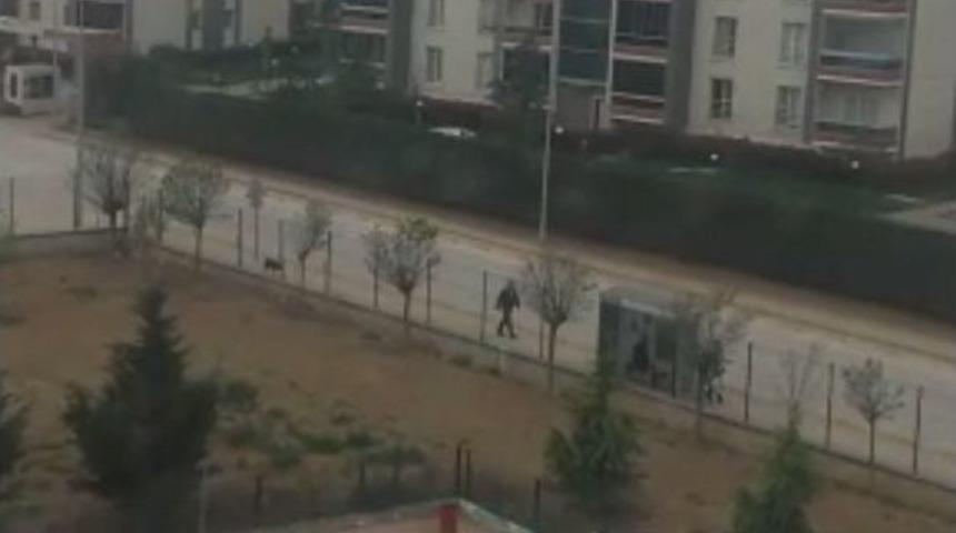 Okulda İki Eğitimciyi Vuran Polis, Bir Ay Önce De Okulu Basmış