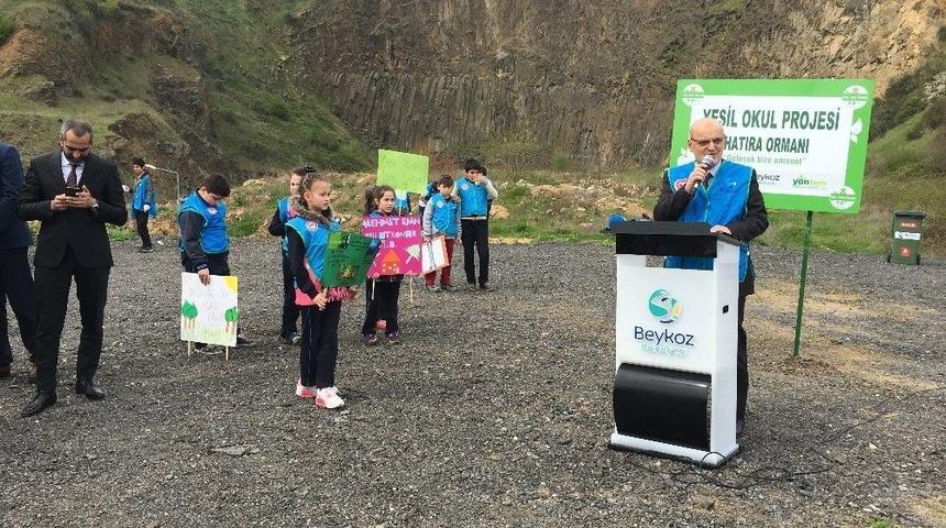 Beykoz&rsquo;da Minik Eller Fidan Dikti