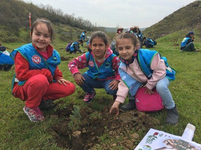 Beykoz’da Minik Eller Fidan Dikti