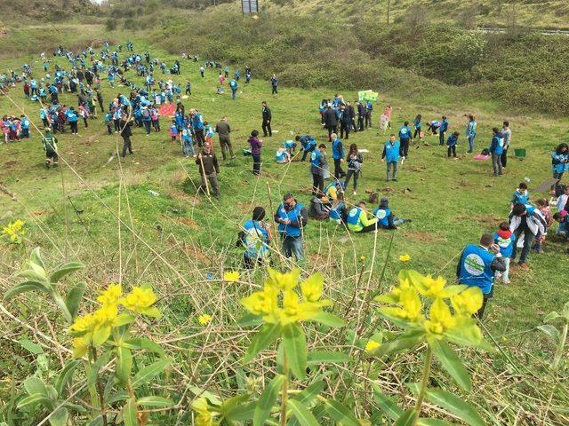 Beykoz’da Minik Eller Fidan Dikti