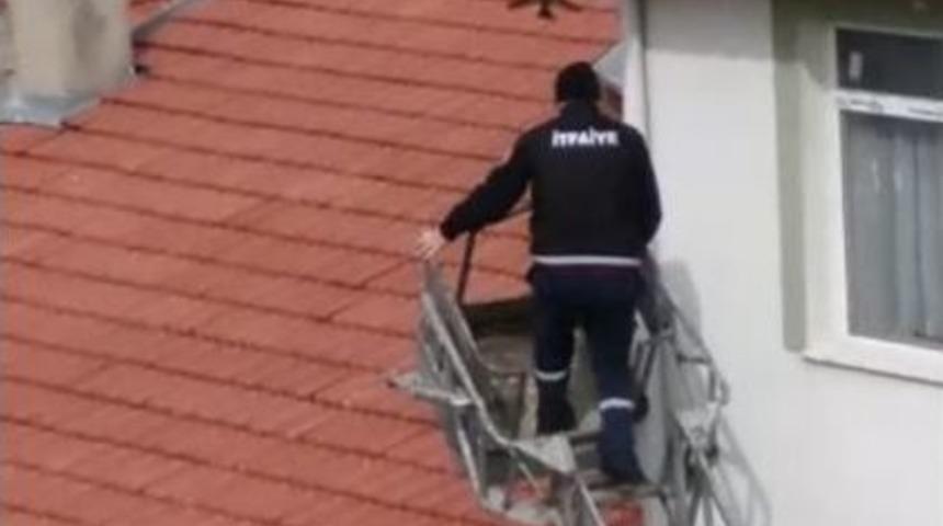 Tellere Takılan Sığırcık İtfaiyeciler Tarafından Kurtarıldı