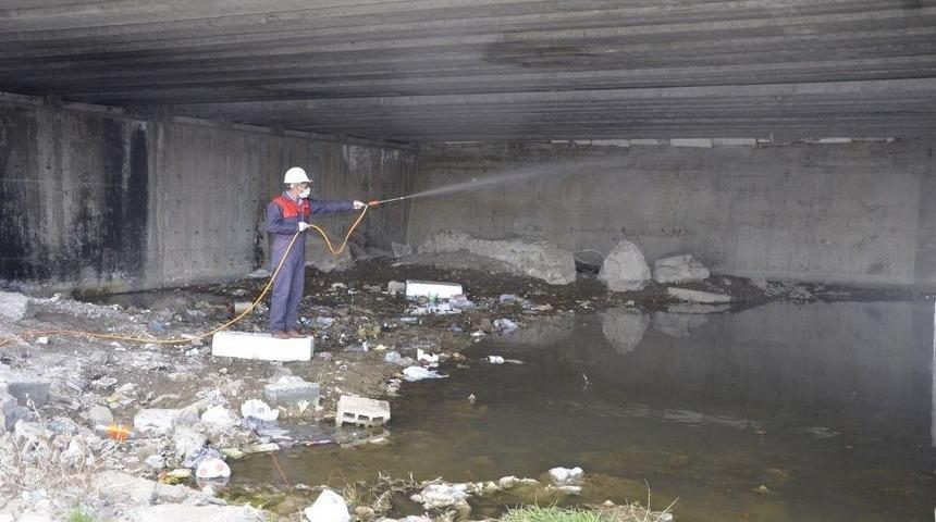 Ağrı&rsquo;da İla&ccedil;lama &Ccedil;alışması Başlatıldı