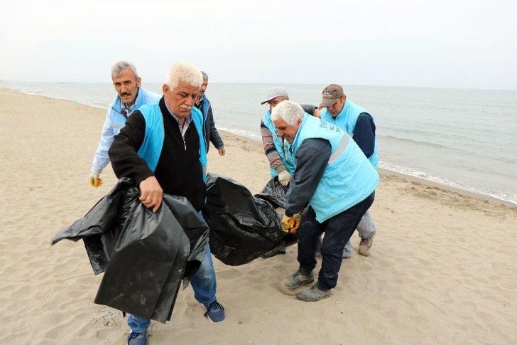 Samsun’da 2 Yunus Ölüsü Karaya Vurdu G5