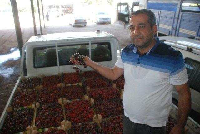 Kiraz Fiyatlarında Düşüş Vatandaşa Yaradı