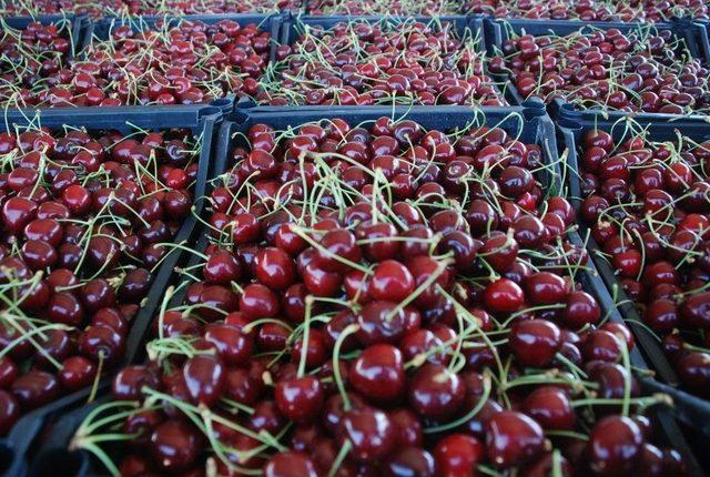 Kiraz Fiyatlarında Düşüş Vatandaşa Yaradı