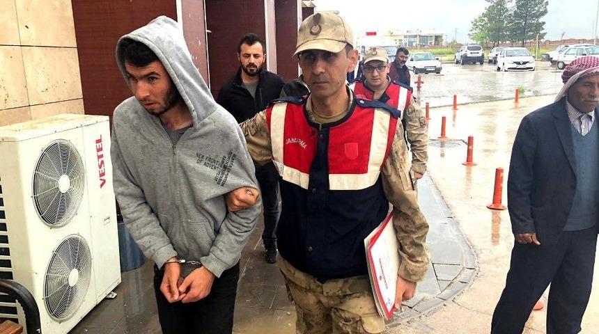 Şanlıurfa’da 3 Terörist Yakalandı